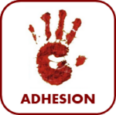 SOSHBF page adhesion
